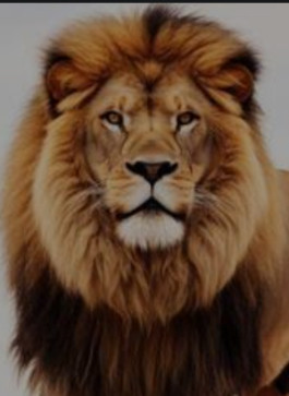 Jay Grewal, 45, India