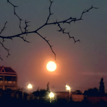 Yaa Ziiid, 32, Algeria