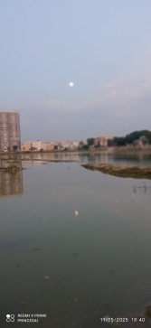 Tomorrow Is Result , 20, India