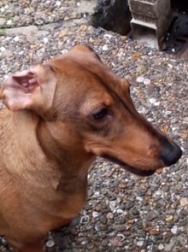 , 60, United Kingdom