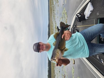 Bea, 19, United States