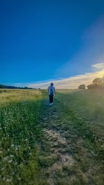 Wanderer, 99, United Kingdom