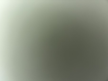 Cris, 18, United States