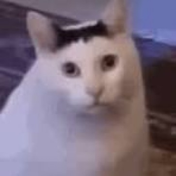 Atomic Bomb, 24, Philippines