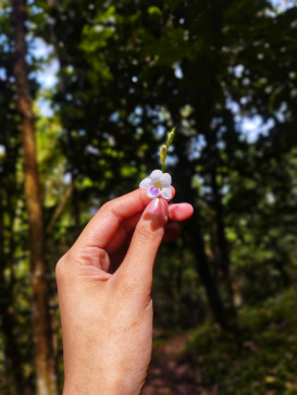 CleanChatOnly, 29, Philippines