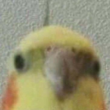 Smart Gamer, 18, Canada