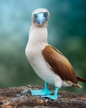 Randomer, 31, United Kingdom