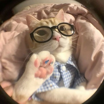 M18 Asian, 18, Netherlands