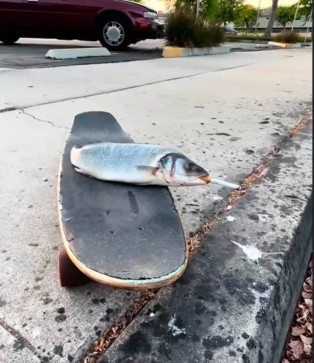 Ayaa Moh, 18, Canada