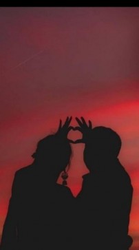 Veterinarian , 20, Egypt