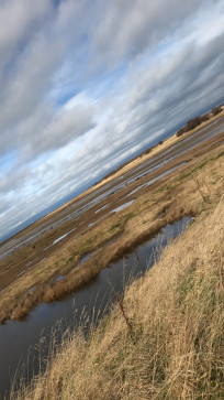 Ganja, 99, United Kingdom