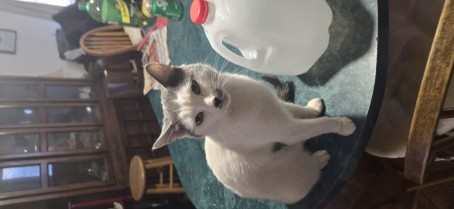 Izycree4455, 25, United States