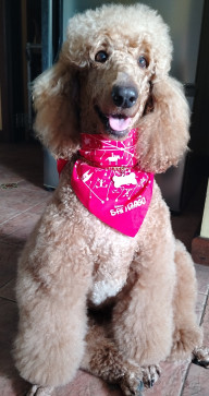 Maria, 48, Philippines