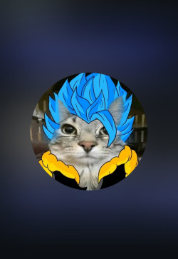 Goku, 27, United States