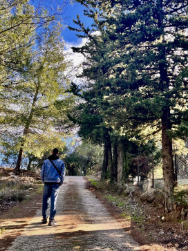 Bravebill 210, 26, Greece