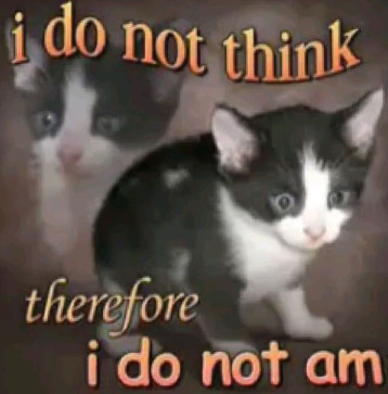 Niru Jhoru, 18, Antarctica