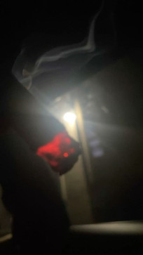 Trapzthegangsoph, 18, United States