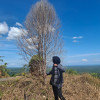 Dian