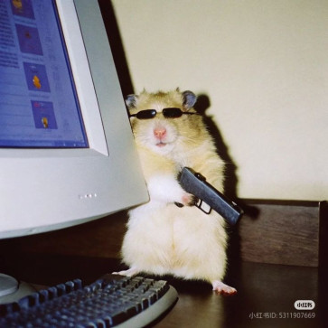 Unbothered, 91, India