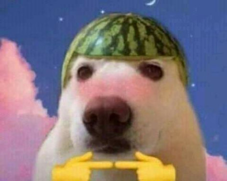 GaaySorryNotSorry, 26, Sweden