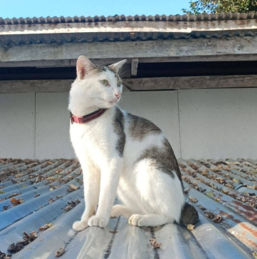 Marian, 28, United Kingdom