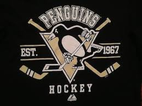 HockeyGuySOG1, 21, United States