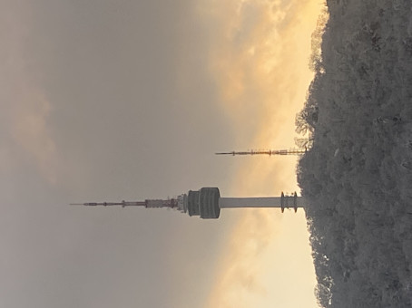 The Hustler69, 27, South Korea