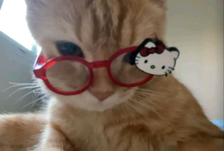 Potatoeee, 18, Philippines