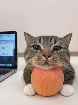 Tarun Biswas, 30, India