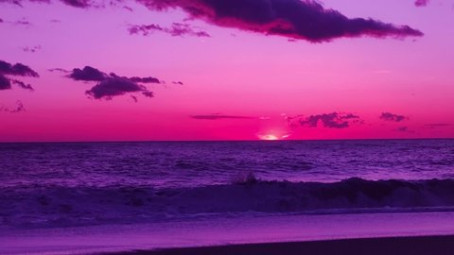 WHITNEY WALKER, 18, United States