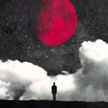 Brad, 24, South Africa