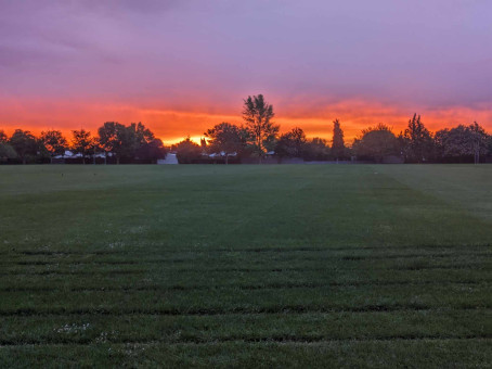 Robin Hood, 60, New Zealand