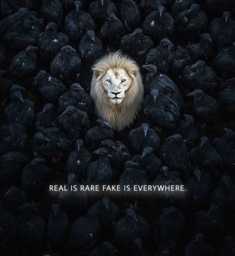 Romeo, 36, United States