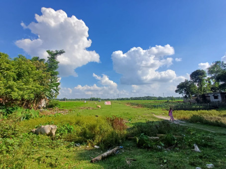 Ade481162, 22, India