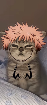 Anant Preet, 18, India