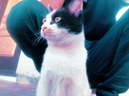 Red Sea, 27, Saudi Arabia