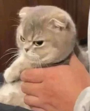 Ordinary Girl, 99, India