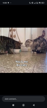 Some Girl, 77, India