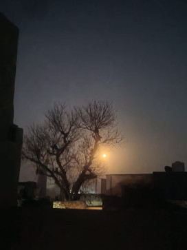 Pandit Ji, 22, India