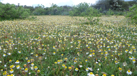 Giuseppe Trekker, 61, Italy