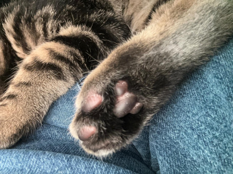 Imsodone67, 23, Canada