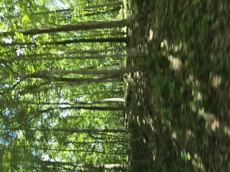 Winter, 50, United States