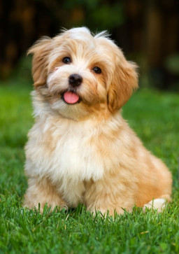 Matt692005, 41, United States