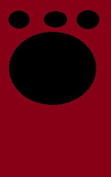 AllieOnARocket, 18, United States