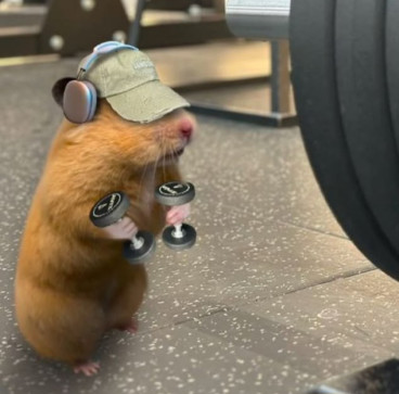 Unbothered, 18, India