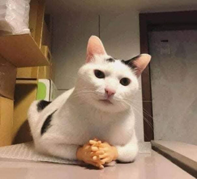 Sonder_, 21, Philippines