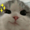 Justadude