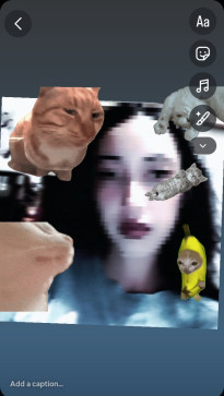 Biqncx Bean, 21