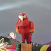Deebot