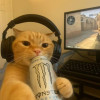 ChatpataHuYrr